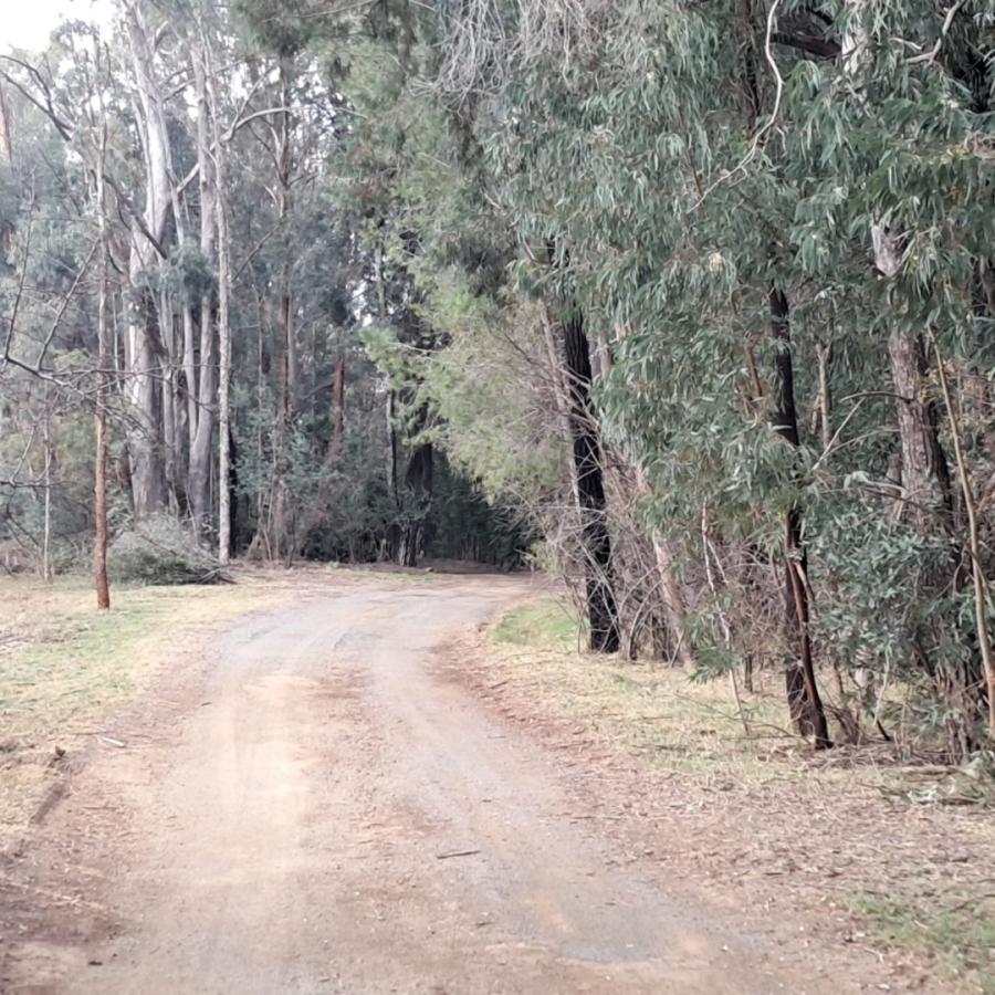 Commercial Property for Sale in Rayton Free State